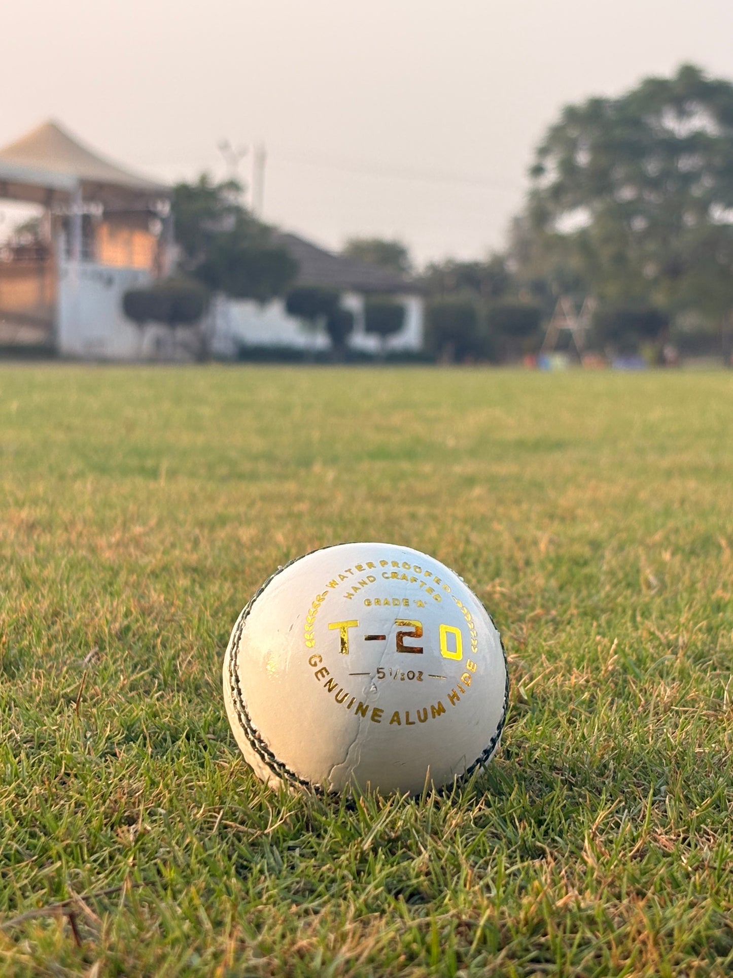 T-20, Water Proofed, Hand Crafted, Genuine Alum Hide, 5 1/2 OZ Pack Of 6