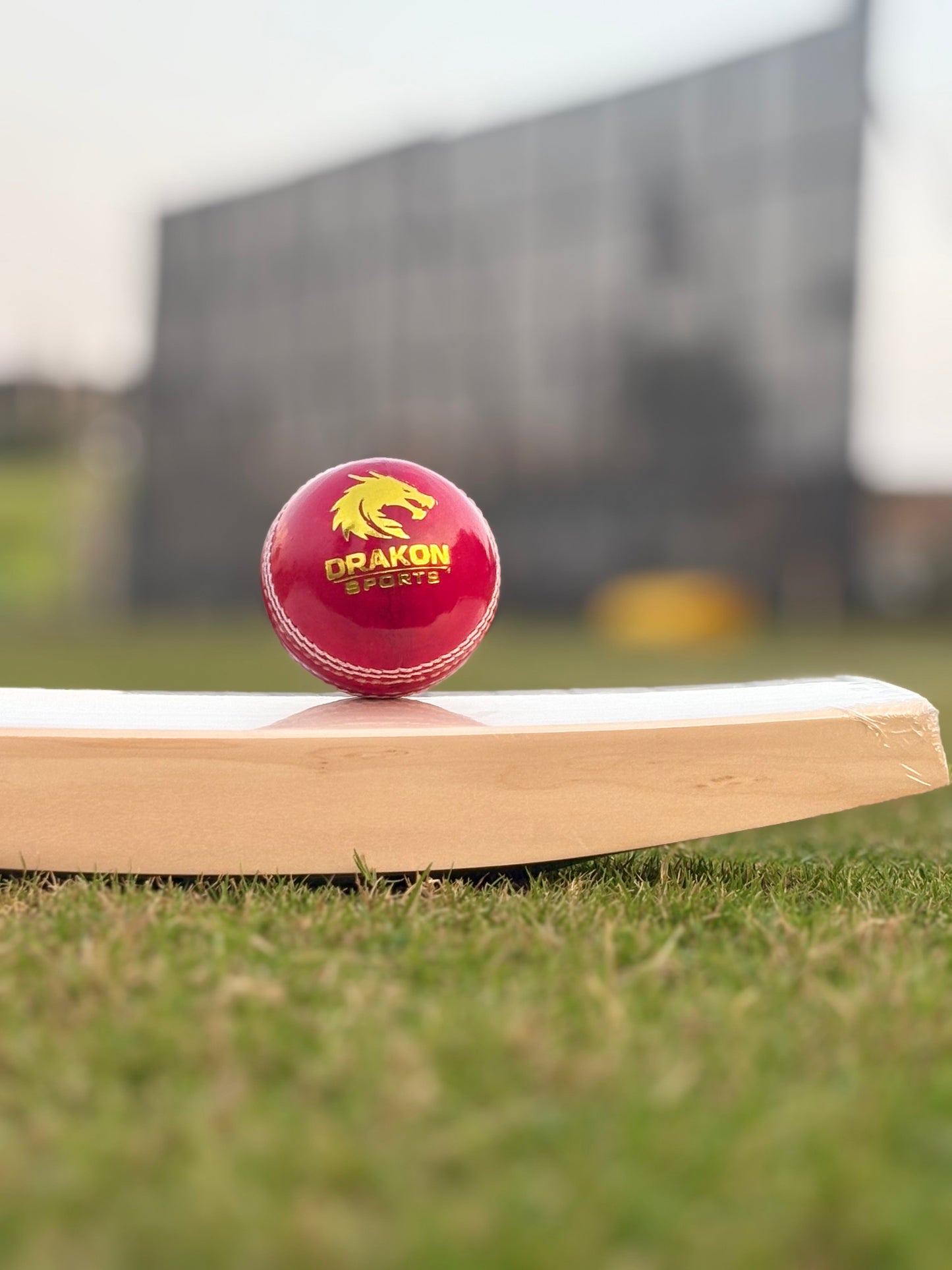 Tournament, Grade A, Water Proofed, Hand Crafted, Genuine Alum Hide, ICC Approved Pack Of 6