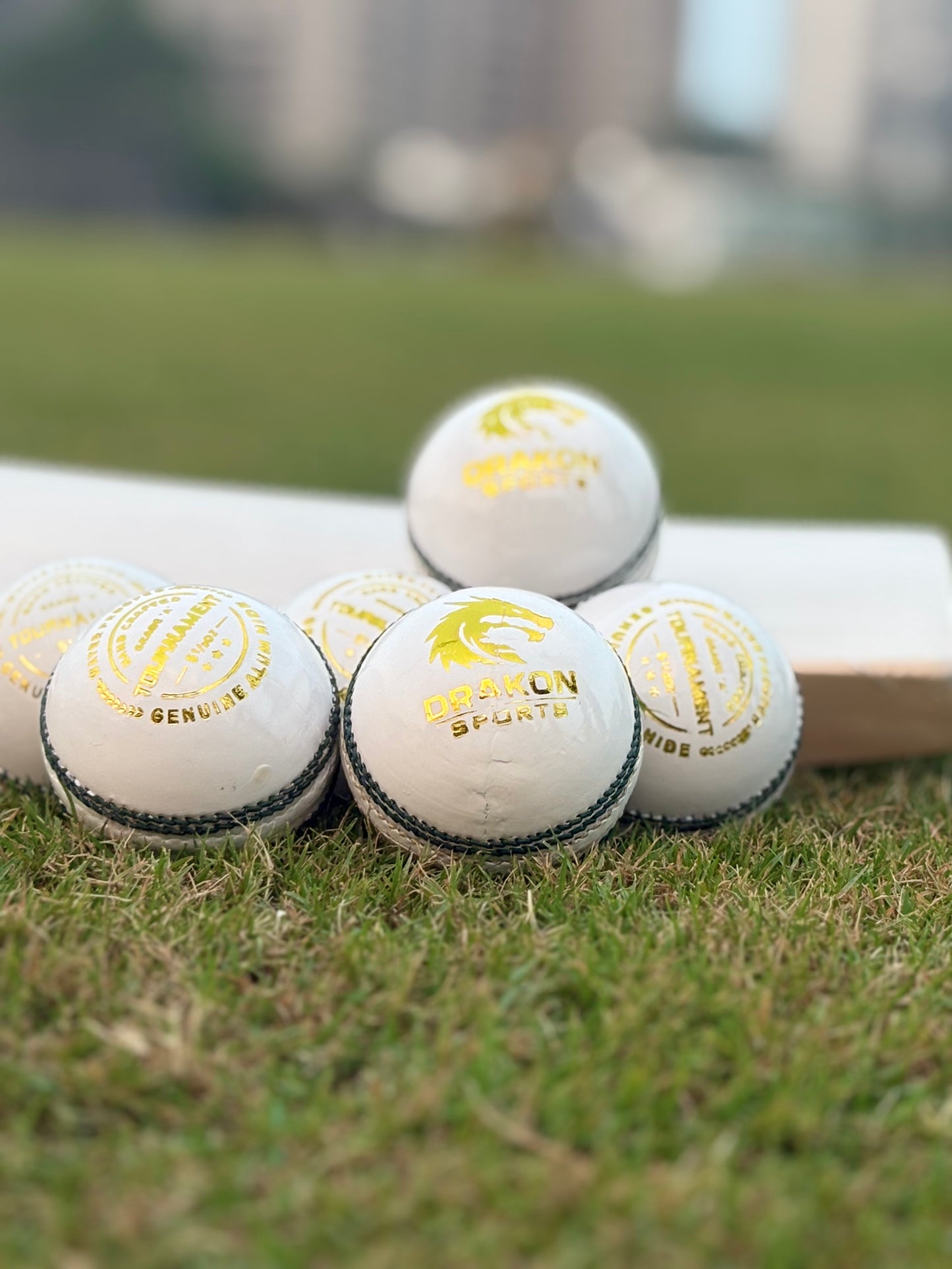 Tournament, Grade A, Water Proofed, Hand Crafted, Genuine Alum Hide, ICC Approved Pack Of 6