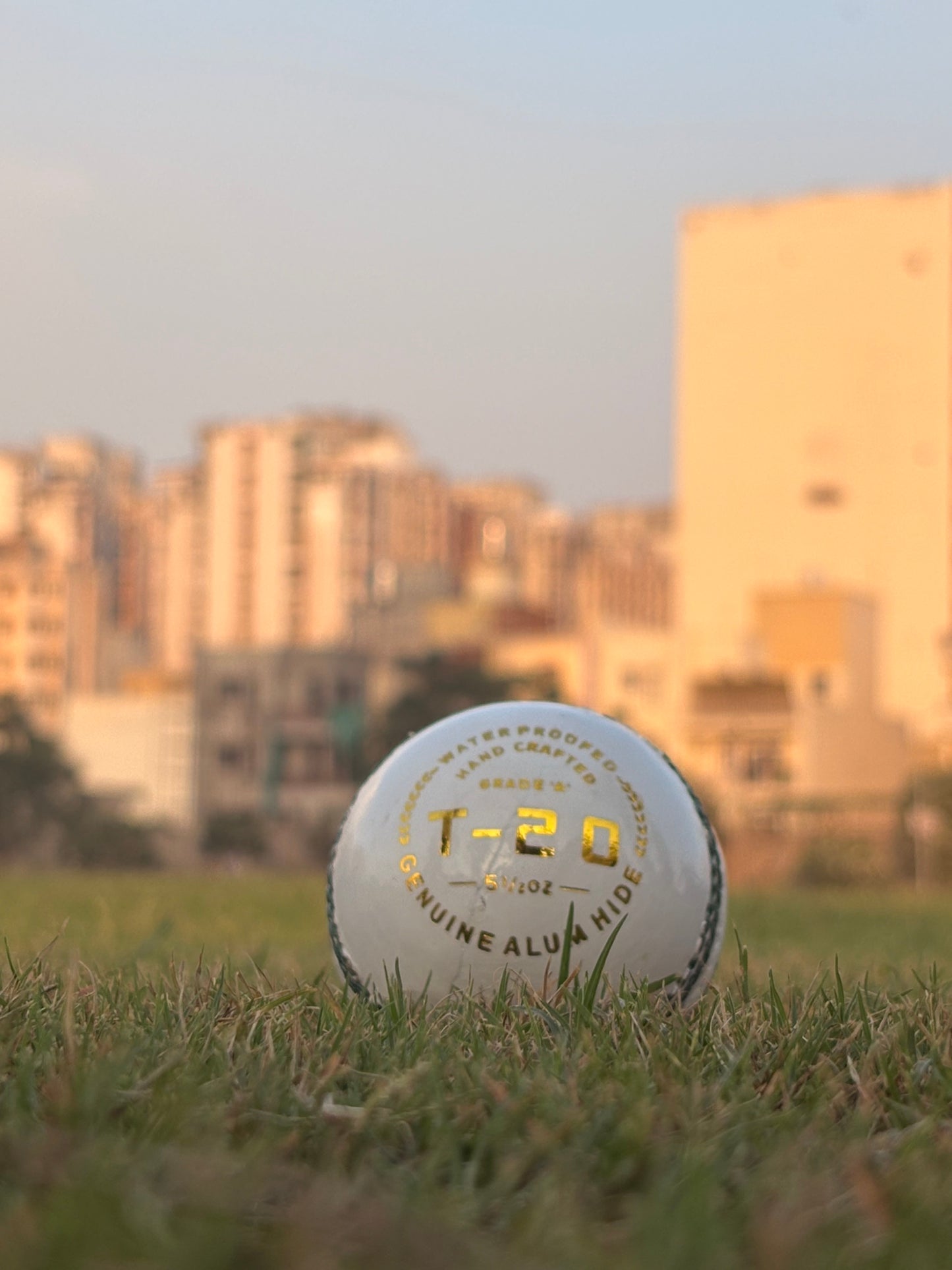 T-20, Water Proofed, Hand Crafted, Genuine Alum Hide, 5 1/2 OZ