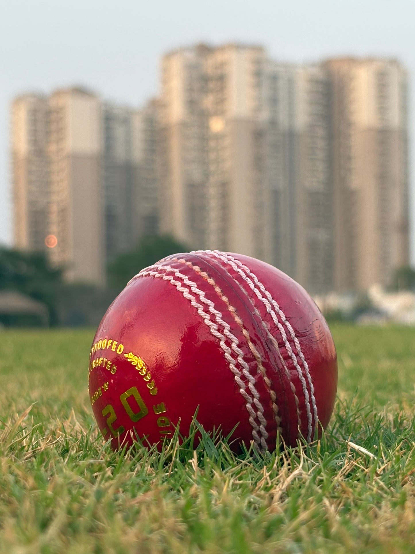 T-20, Water Proofed, Hand Crafted, Genuine Alum Hide, 5 1/2 OZ