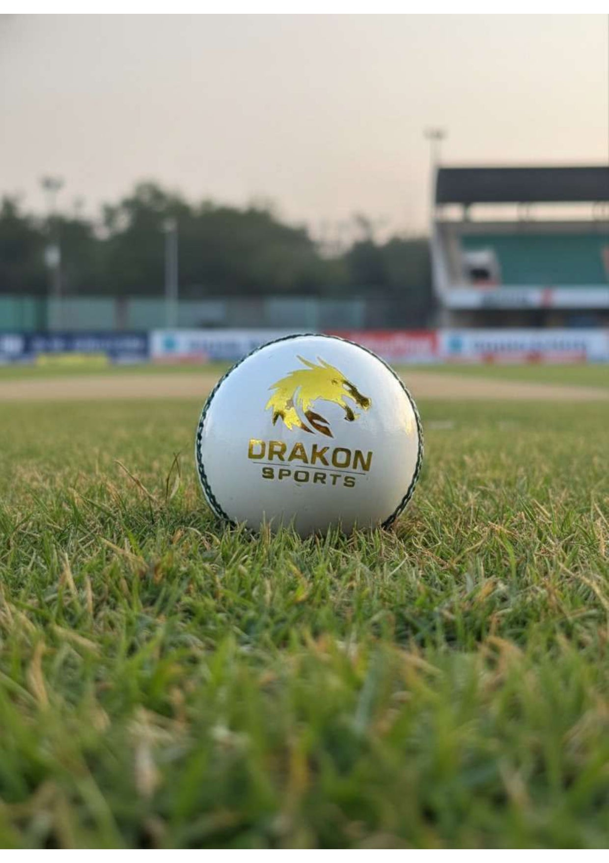 T-20, Water Proofed, Hand Crafted, Genuine Alum Hide, 5 1/2 OZ