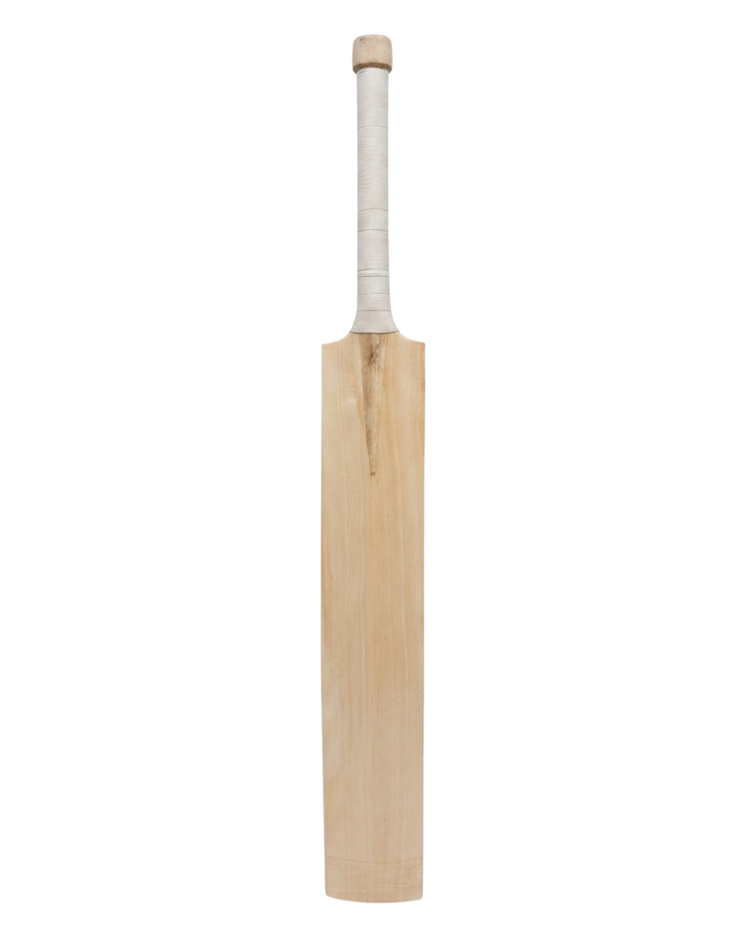 English Willow