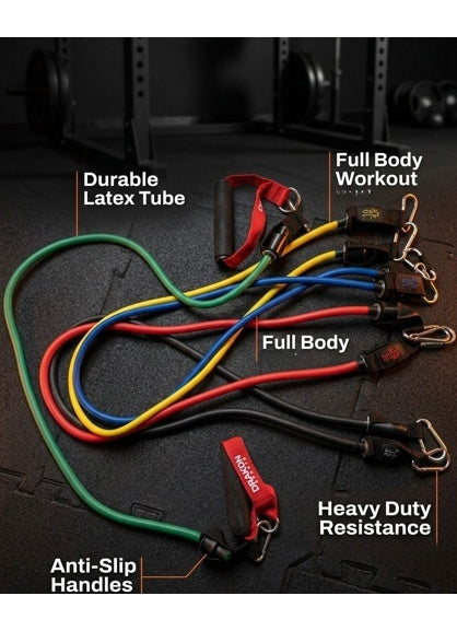 Resistance Bands Set for Exercise, Stretching and Workout Toning Tube Kit with Foam Handles, Door Anchor, Ankle Strap and Carry Bag for Men, Women