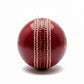 Super Test Cricket Leather Ball Pack of 6