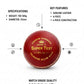 Super Test Cricket Leather Ball Pack of 6
